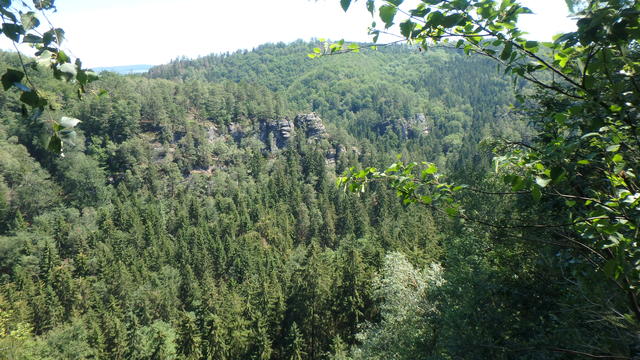 640x480/p6252573.jpg