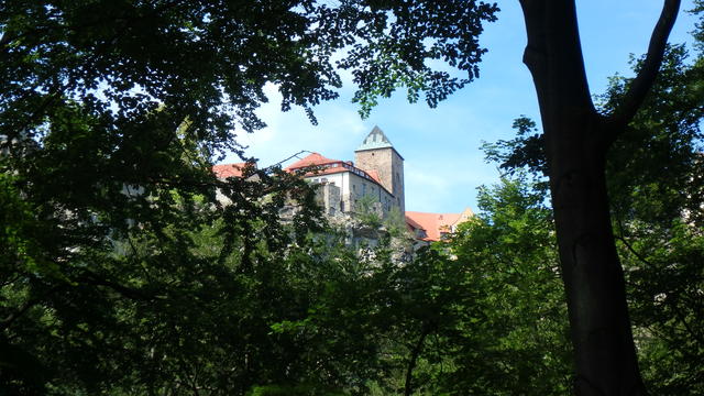 640x480/p6252603.jpg