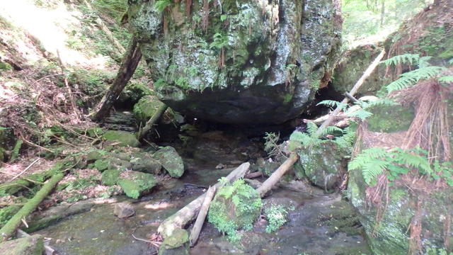 640x480/p6252612.jpg