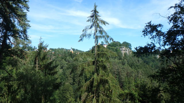 640x480/p6252624.jpg