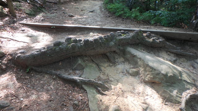 640x480/p6252645.jpg