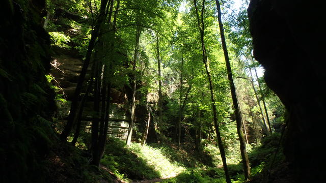 640x480/p6262712.jpg