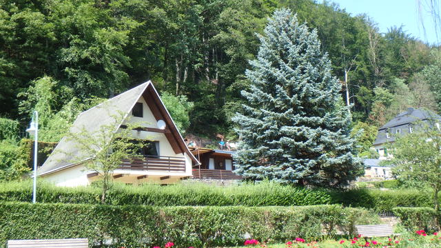 640x480/p6262719.jpg