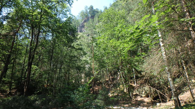 640x480/p6262730.jpg