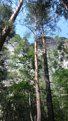 640x480/p6262738.jpg