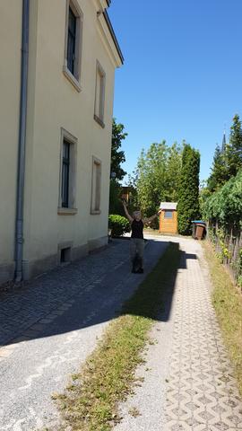 640x480/20190627_121234_fischer3.jpg