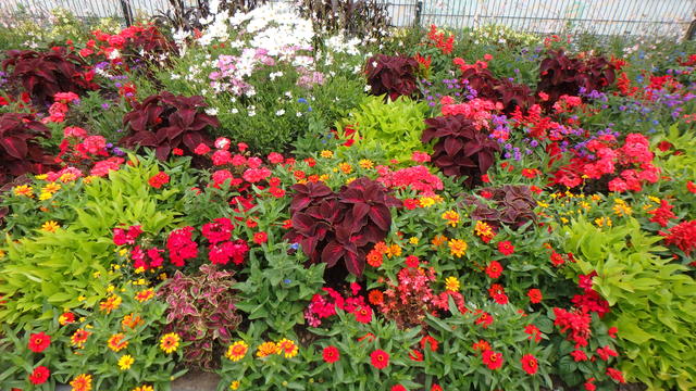 640x480/p7052907.jpg