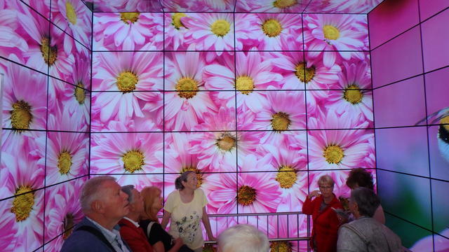 640x480/p7052920.jpg