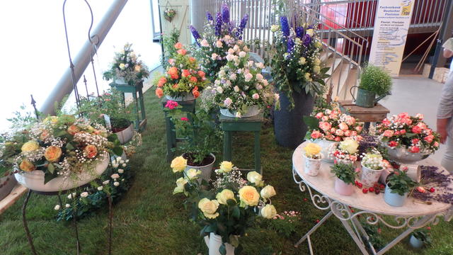 640x480/p7052924.jpg