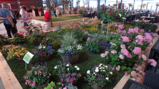 640x480/p7052925.jpg