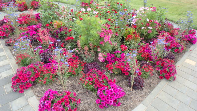 640x480/p7052927.jpg