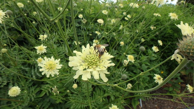 640x480/p7052933.jpg