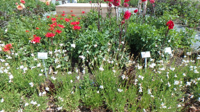 640x480/p7052944.jpg