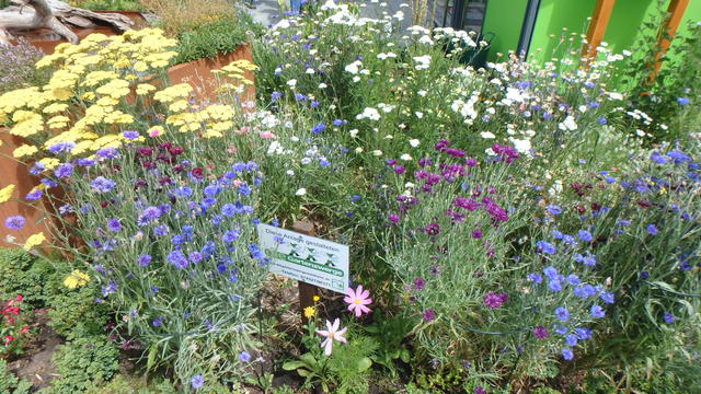 640x480/p7052977.jpg