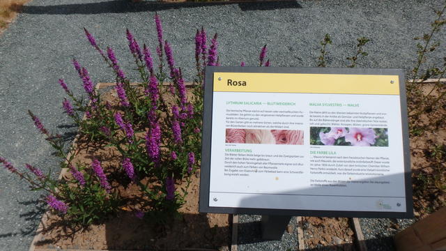 640x480/p7052996.jpg