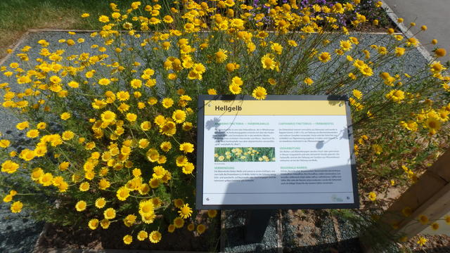 640x480/p7052997.jpg