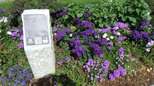 640x480/p7052998.jpg