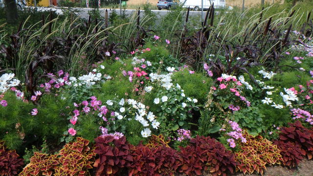640x480/p7053002.jpg