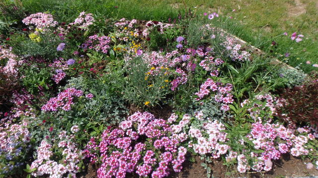 640x480/p7053016.jpg