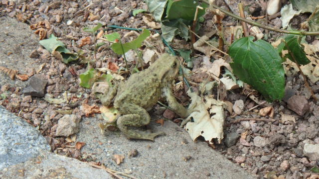 640x480/p7053044.jpg