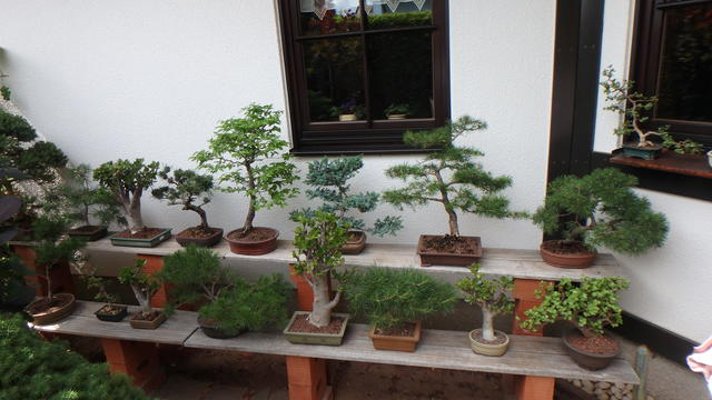 640x480/p7053049.jpg