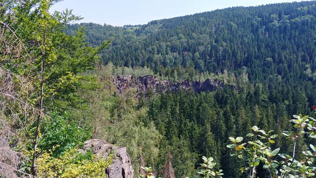 640x480/20190726_121354_hdr.jpg