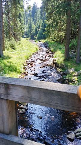 640x480/20190726_150059_hdr.jpg