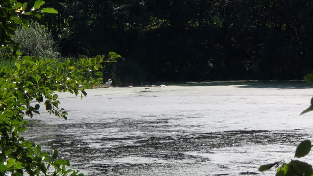 640x480/p8231606.jpg