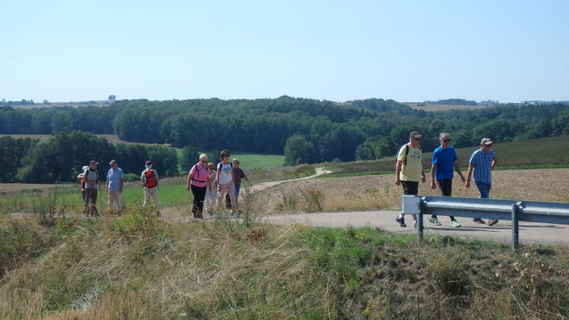 640x480/p8231610.jpg