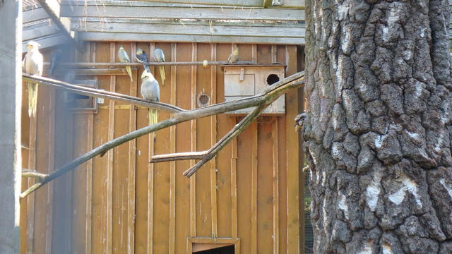 640x480/p8231616.jpg