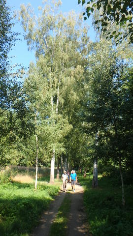 640x480/p8231645.jpg