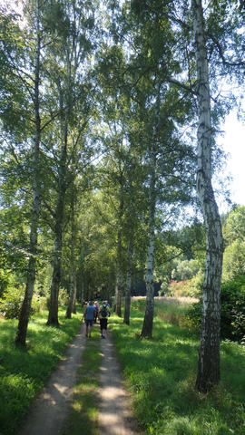640x480/p8231646.jpg