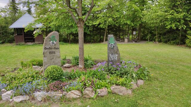 640x480/IMG_20200522_115831.jpg