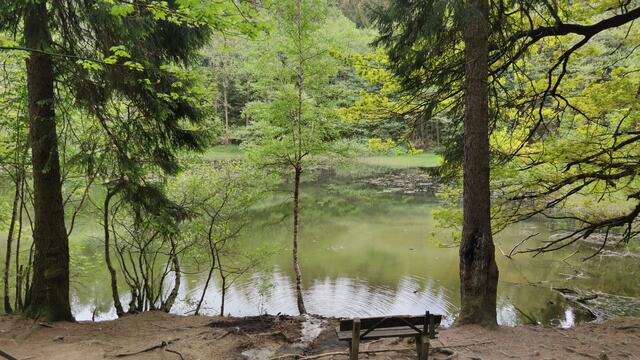 640x480/IMG_20200522_141008.jpg