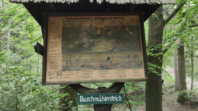 640x480/IMG_20200522_141258.jpg