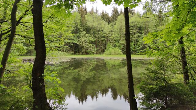 640x480/IMG_20200522_141315.jpg