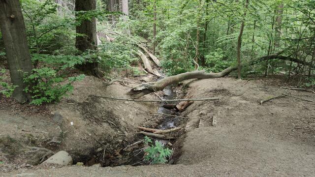 640x480/IMG_20200522_141324.jpg