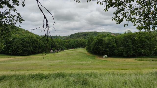 640x480/IMG_20200605_121555.jpg