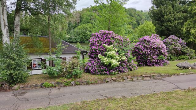 640x480/IMG_20200605_123811.jpg