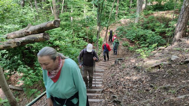 640x480/IMG_20200605_143735.jpg