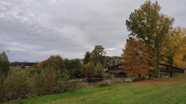 640x480/IMG_20201023_095958.jpg