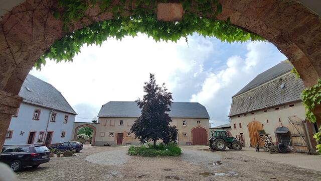 640x480/IMG_20210625_105111.jpg