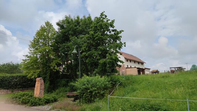 640x480/IMG_20210625_105218.jpg