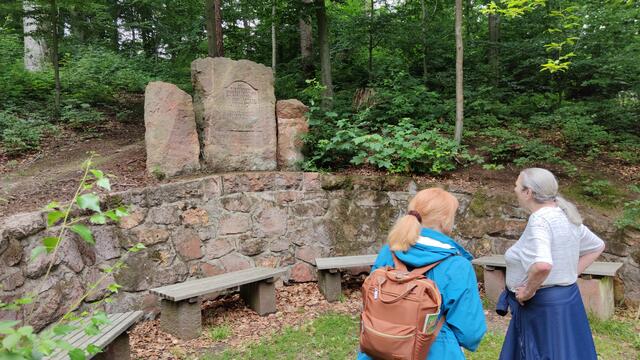 640x480/IMG_20210625_140608.jpg
