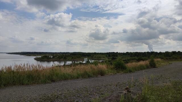640x480/IMG_20210811_112555.jpg