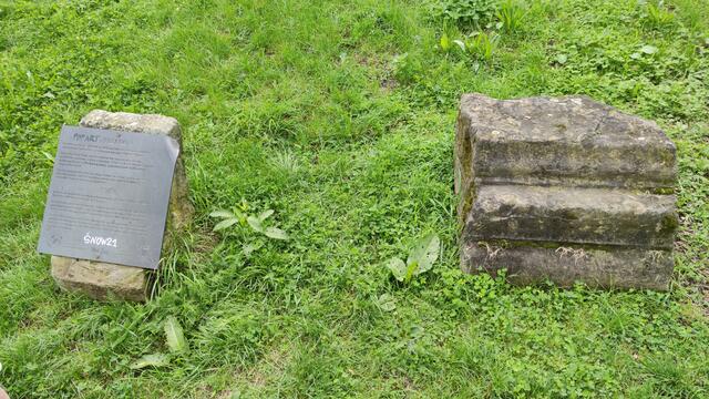 640x480/IMG_20210811_115827.jpg