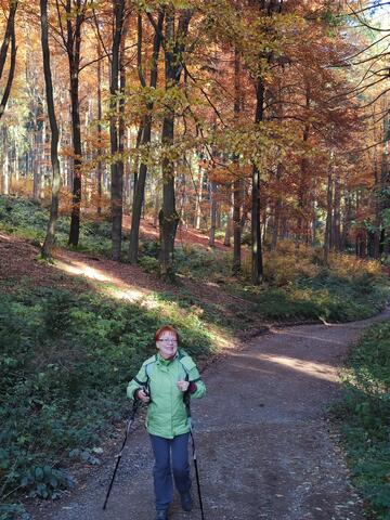 640x480/IMG_20211029_102432.jpg
