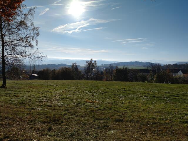 640x480/IMG_20211029_103707.jpg