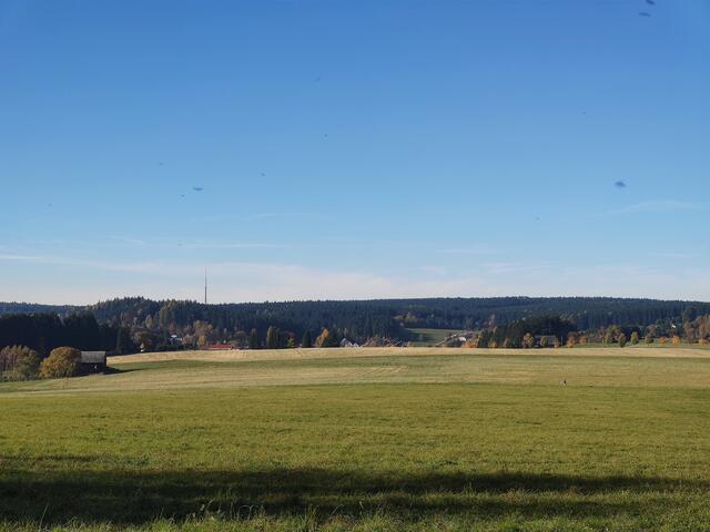 640x480/IMG_20211029_110956.jpg