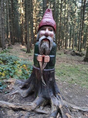 640x480/IMG_20211029_145648.jpg